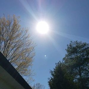 Meet your Posher, Lee-ann